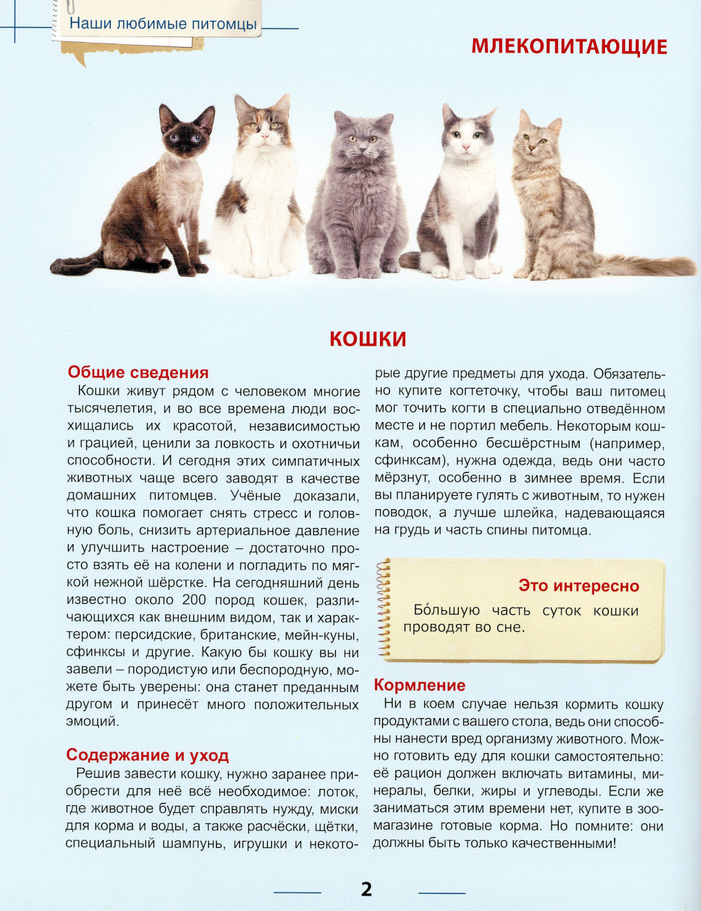 Наши любимые питомцы