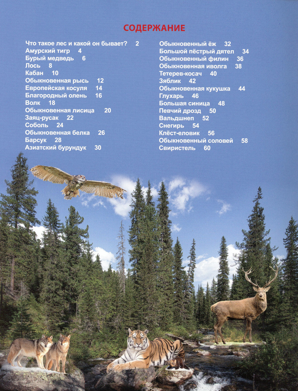 Qu'en est-il de leur vie?