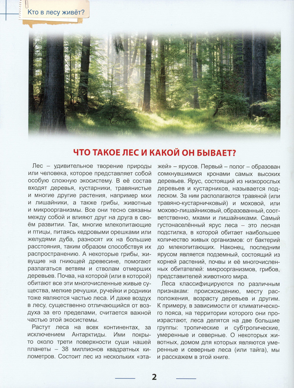 Qu'en est-il de leur vie?