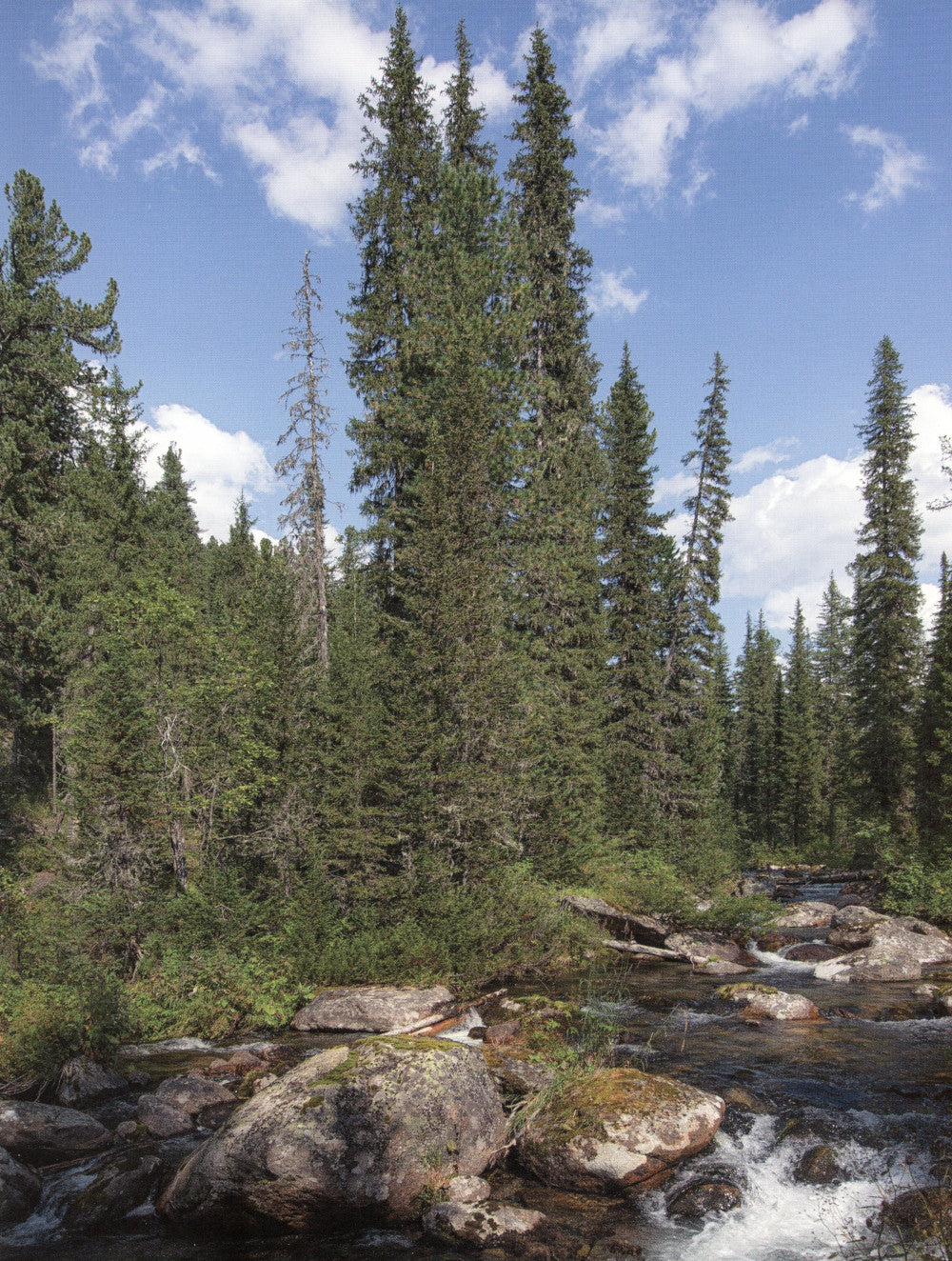 Qu'en est-il de leur vie?