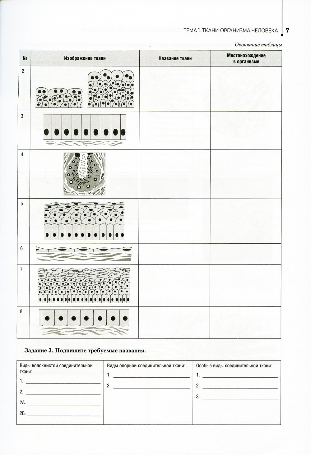 Анатомия и физиология человека. Рабочая тетрадь: Учебное пособие
