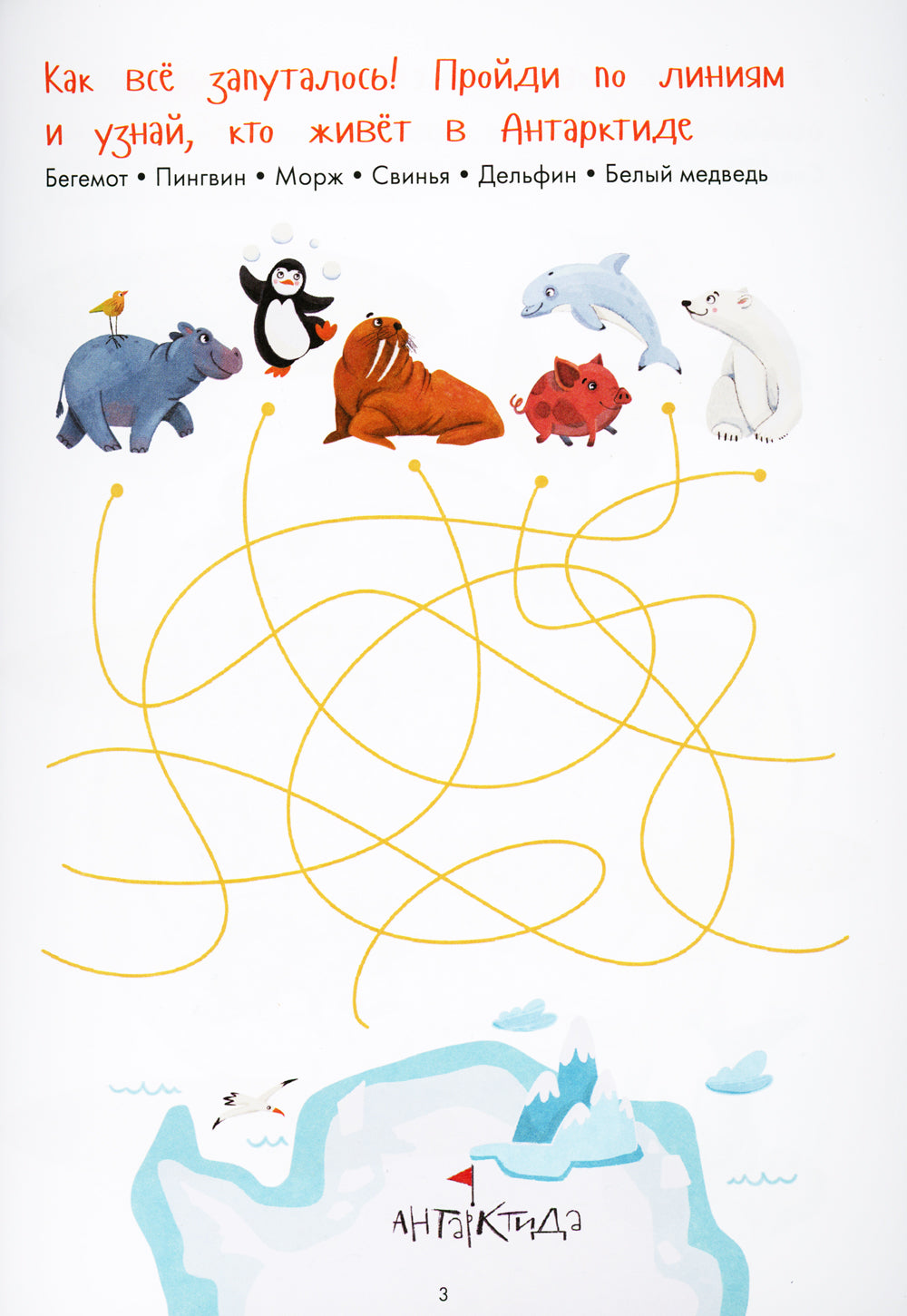 Занимательная зоология. Большая книга раскрасок, лабиринтов и головоломок