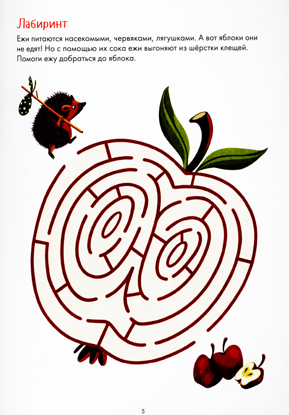 Занимательная зоология. Большая книга раскрасок, лабиринтов и головоломок