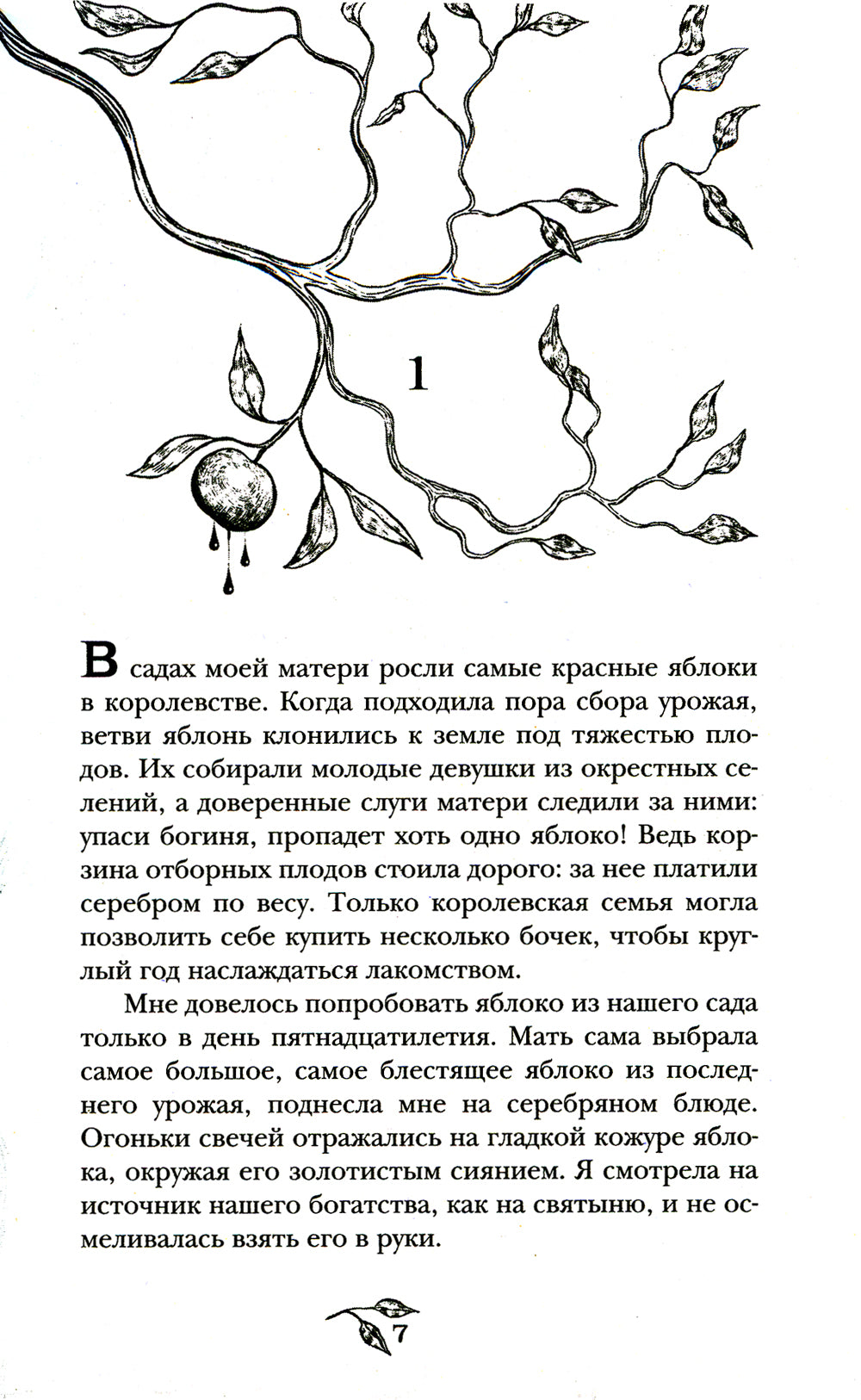 Самое красное яблоко