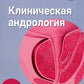 Клиническая андрология: руководство для врачей