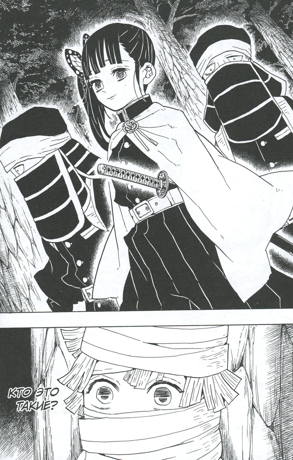 Истребитель демонов. Т. 6: На суде у столпов истребителей: манга