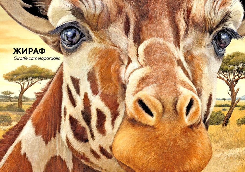 Животные Африки в натуральную величину. Иллюстрированная энциклопедия