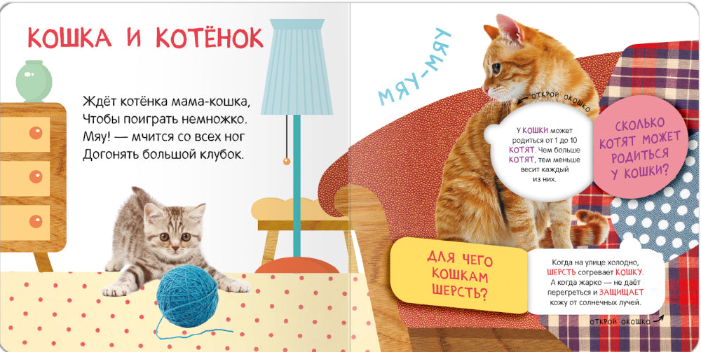 Книжки с окошками. Мамы и малыши