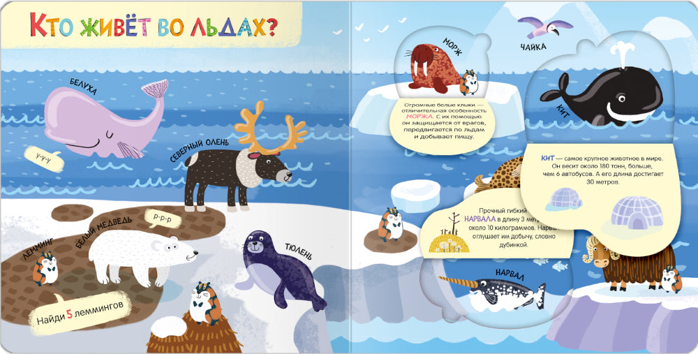 Книжки с окошками. Мир животных