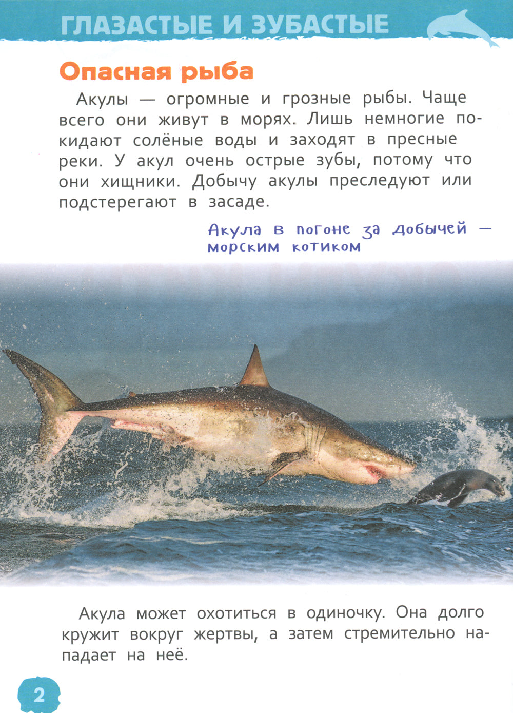 Акулы, киты и дельфины (Энциклопедия для детского сада)