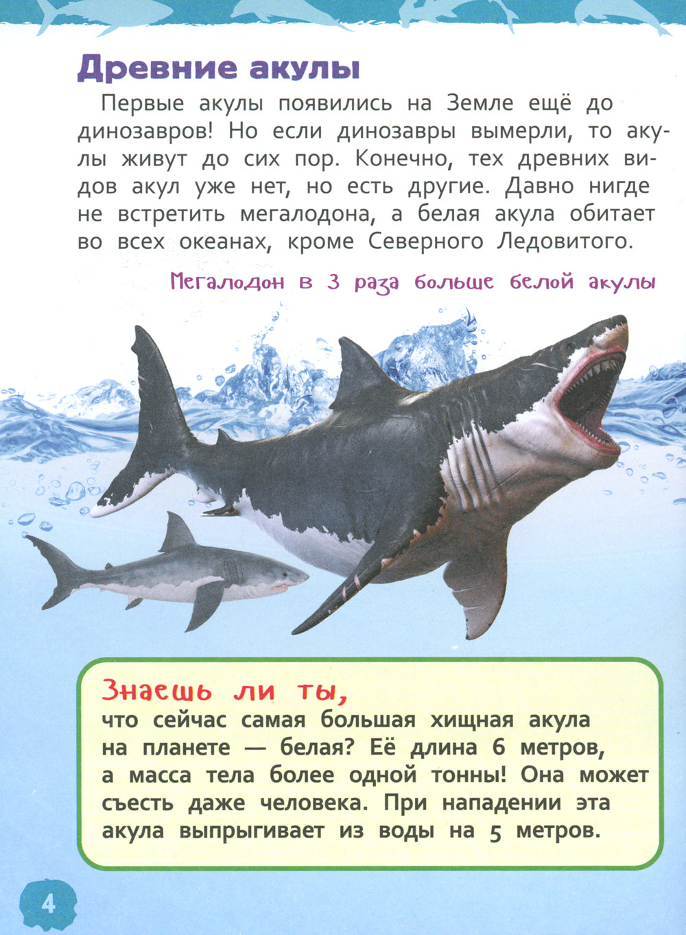 Акулы, киты и дельфины (Энциклопедия для детского сада)