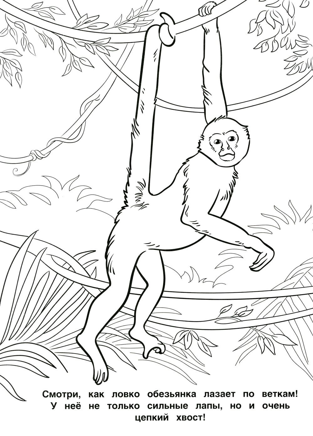 Лучшая раскраска! Животные