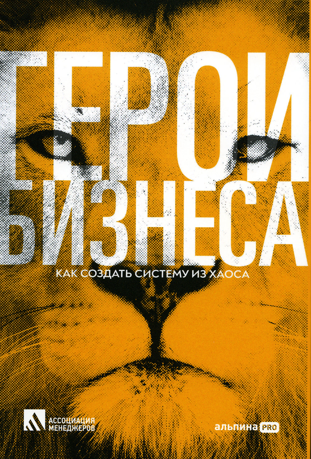 Герои бизнеса. Как создать систему из хаоса