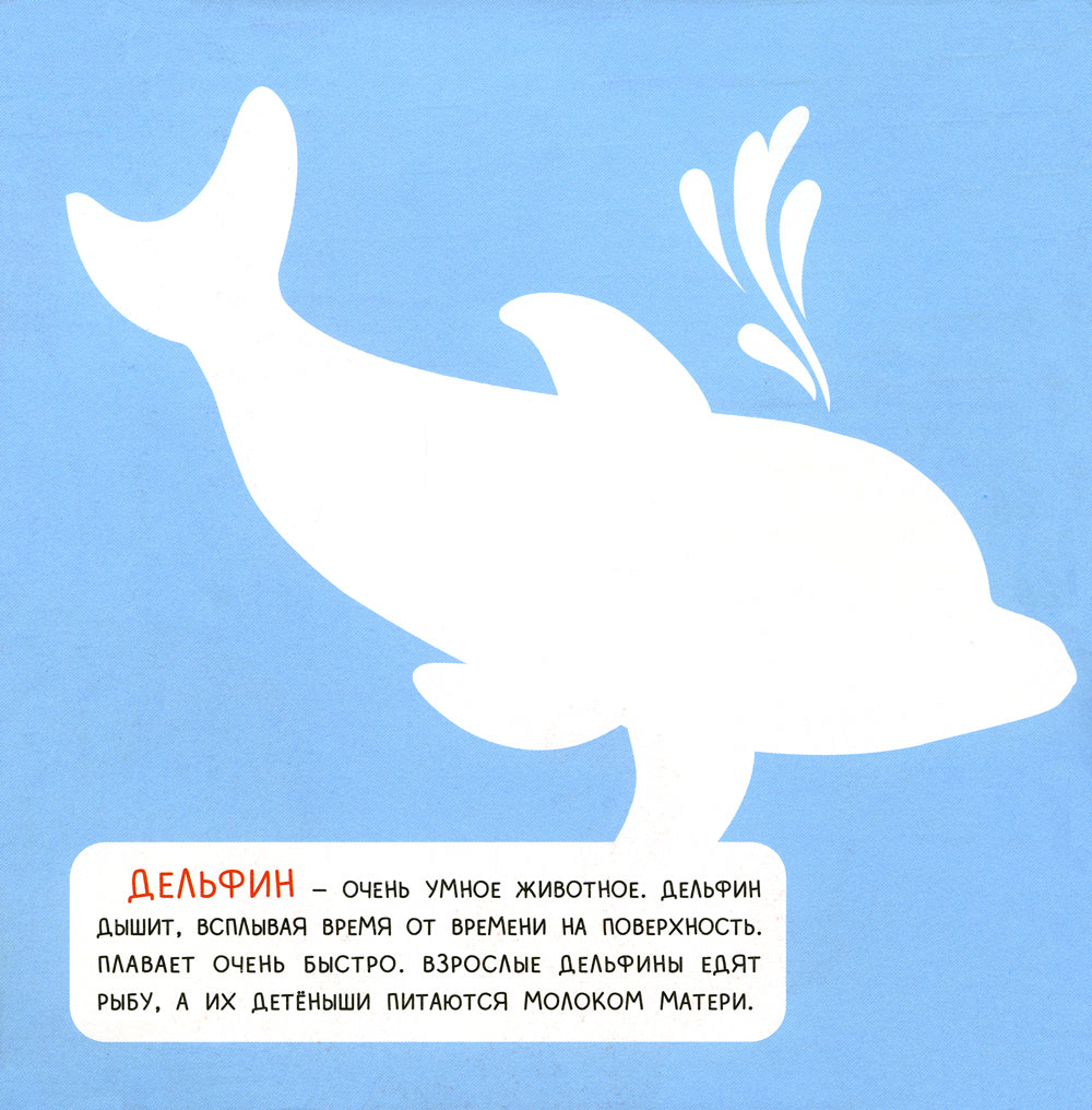 Plus : applications complètes