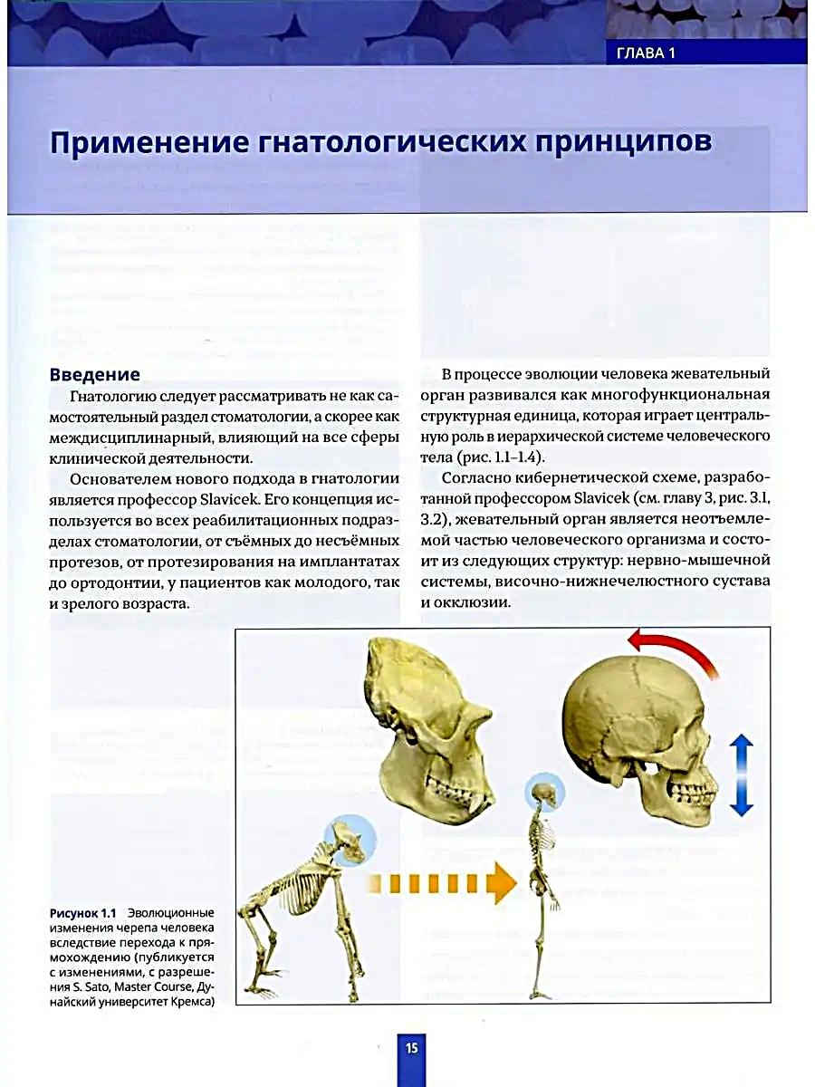 Высота окклюзии в протезировании и ортогнатологии. Интеграция эстетики и функции