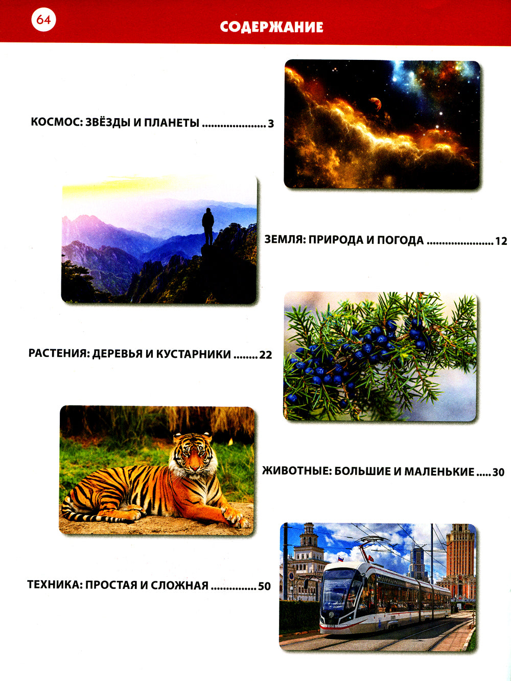 Études d'enquête pour les petits et les enfants de 6 à 9 lettres