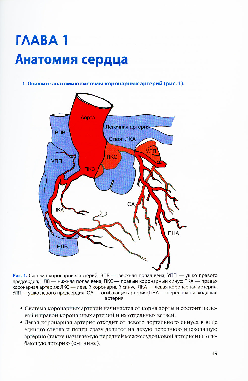 Основные вопросы кардиохирургии