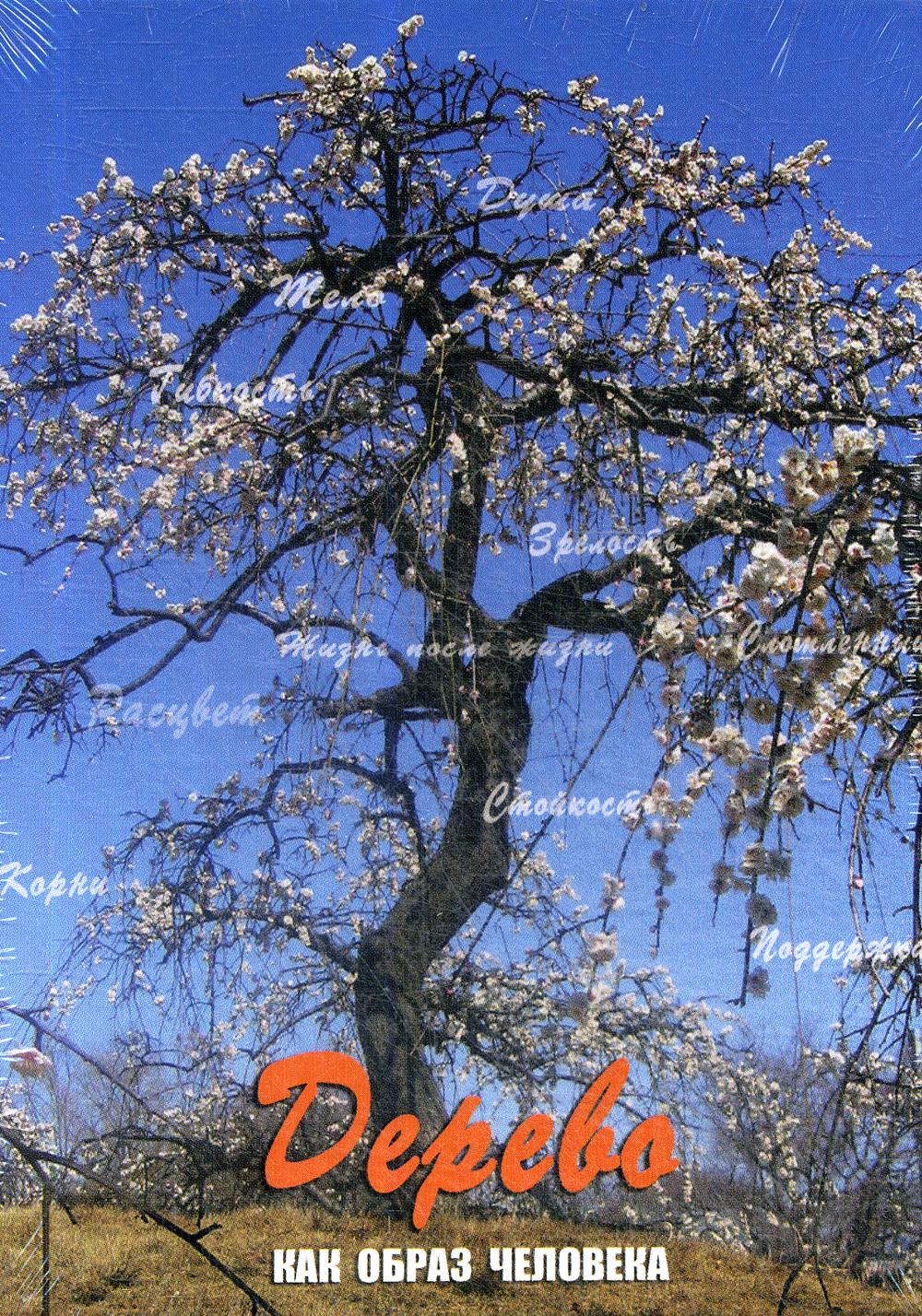 Дерево. Как образ человека. (набор из 112 карточек и инструкции)