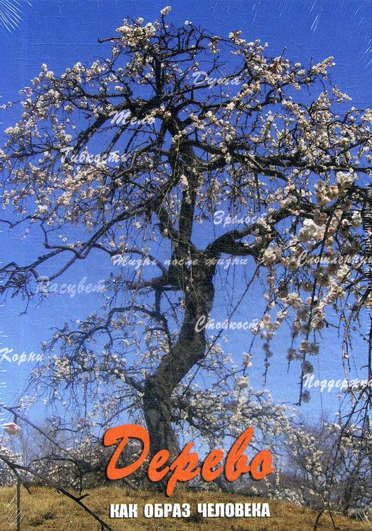 Дерево. Как образ человека. (набор из 112 карточек и инструкции)