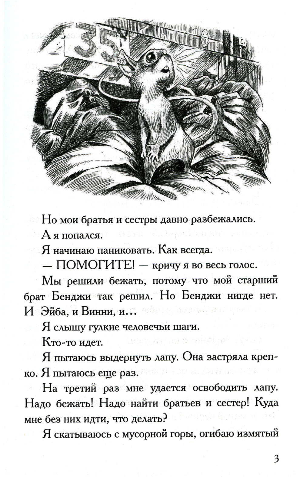 Честное мышиное