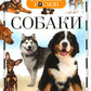 Собаки