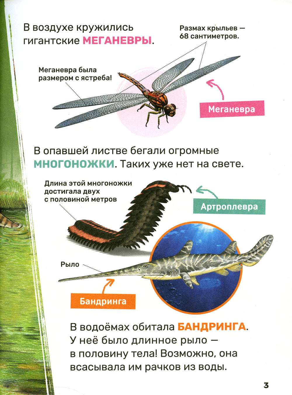 Динозавры. Первая энциклопедия малыша