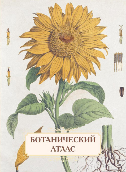 Atlas botanique. Н.П. Животовский