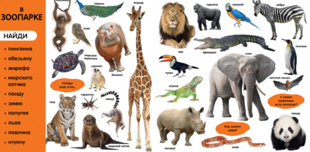 Фотокнига. Первые слова