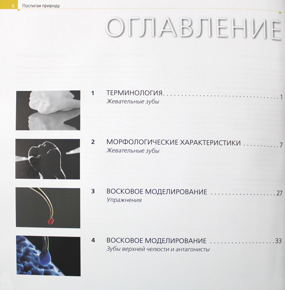 Постигая природа. Восковое моделирование эстетичных и окклюзионных поверхностей