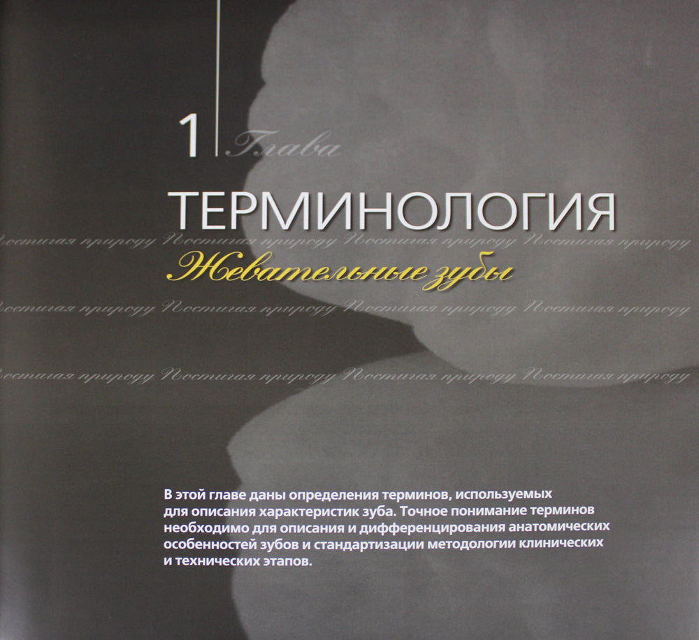 Постигая природа. Восковое моделирование эстетичных и окклюзионных поверхностей