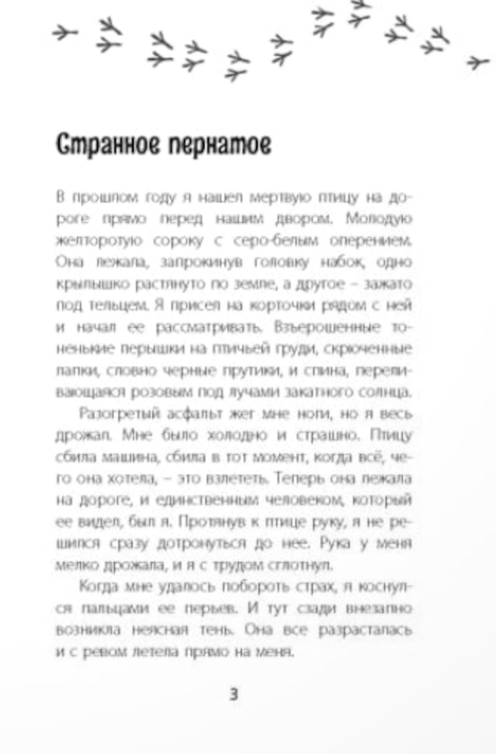 Птицы поют даже в хмурые дни