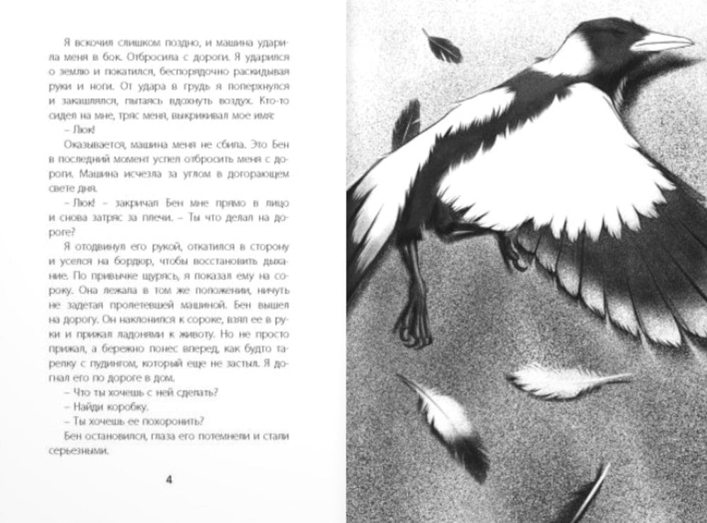 Птицы поют даже в хмурые дни