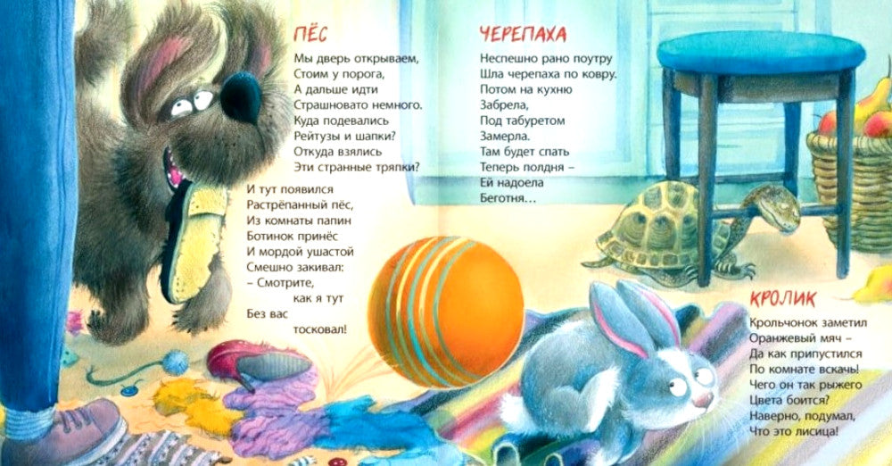 Кто у нас живет?