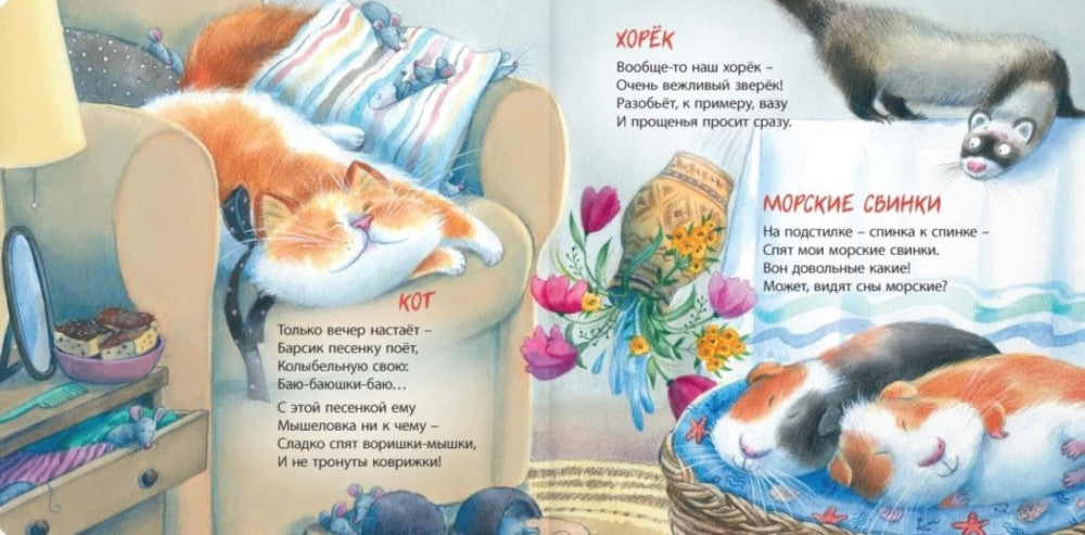 Кто у нас живет?