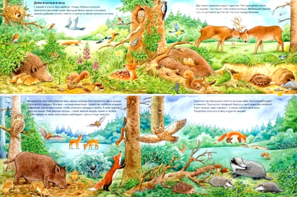 Мир животных