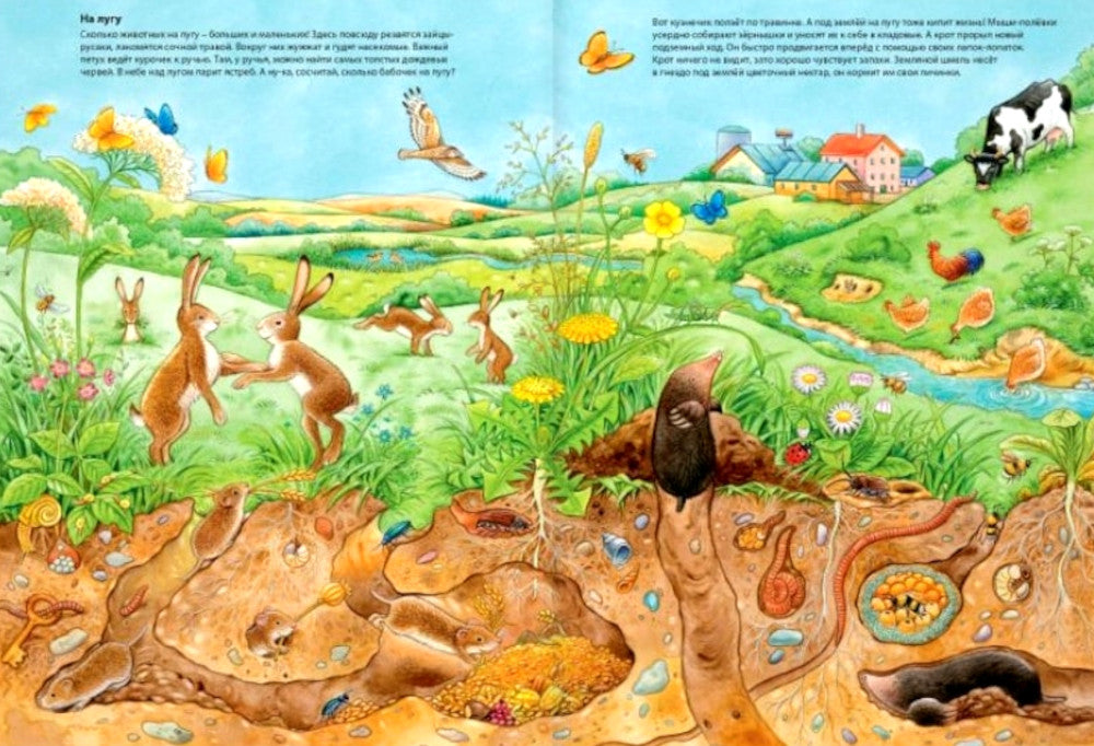 Мир животных