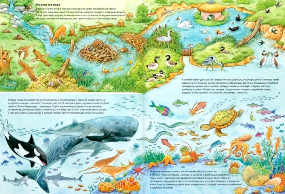 Мир животных