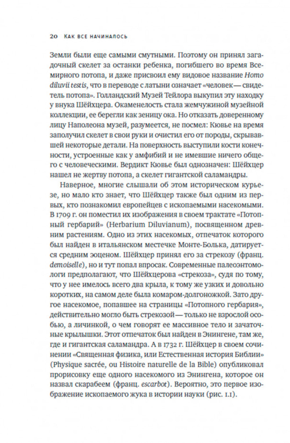 Краткая история насекомых: Шестиногие хозяева планеты