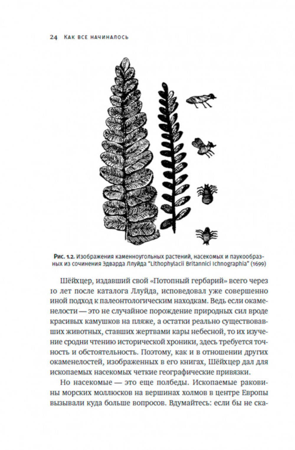 Краткая история насекомых: Шестиногие хозяева планеты