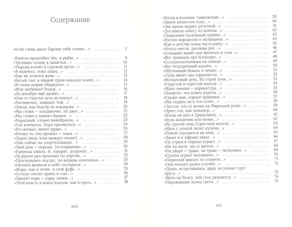 Тетрадь в клетках: книга стихотворений