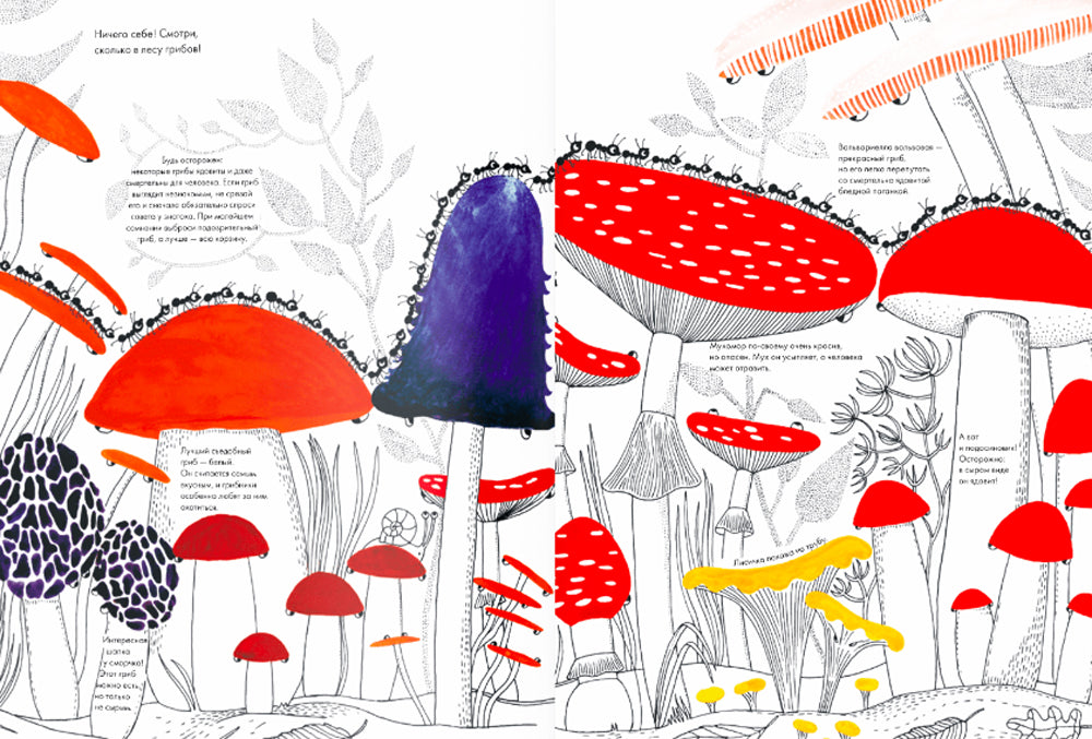 Тысяча и один муравей