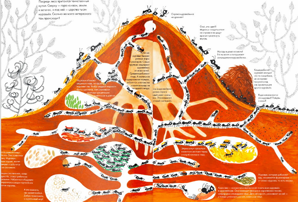 Тысяча и один муравей