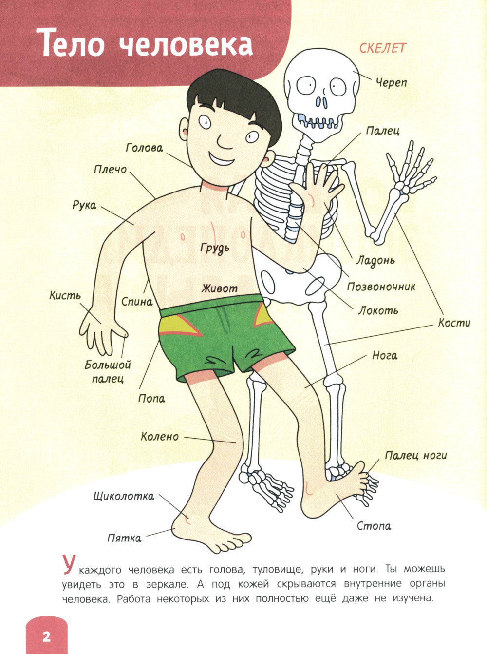 Большая энциклопедия малыша. 1000 слов