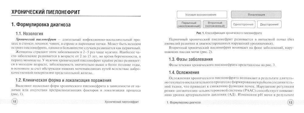 Хронический пиелонефрит и хроническая болезнь почек в практике врача поликлиники