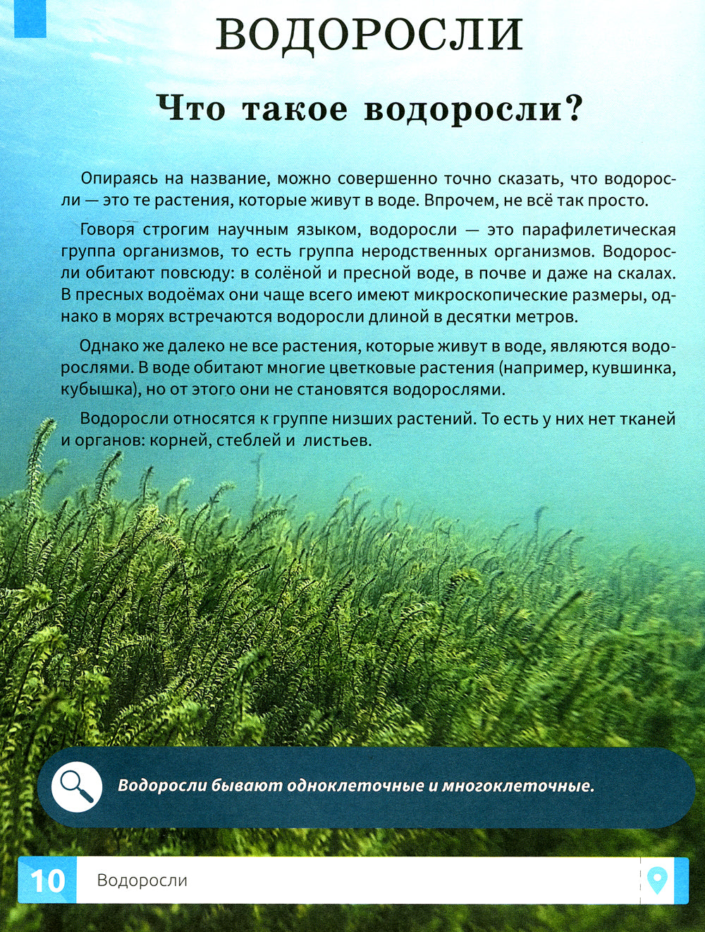 Растения: самая умная энциклопедия