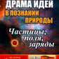 Драма идей в познании природы: Частицы, поля, заряды. (№86.)