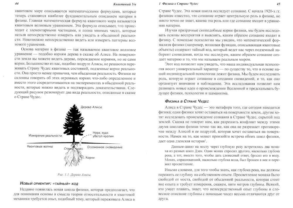 Квантовый ум: граница между физикой и психологией