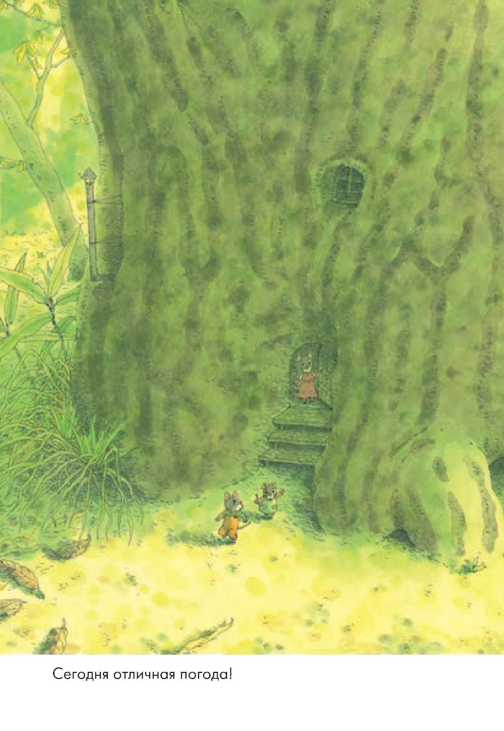 14 heures. Pique-nique