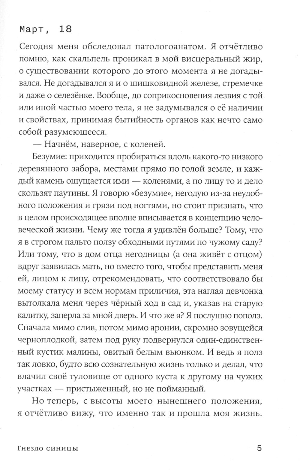 Гнездо синицы: роман