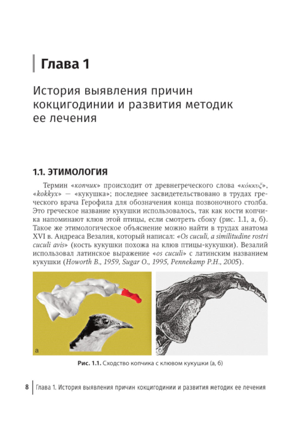 Кокцигодиния. Клиника, диагностика, лечение: руководство для врачей